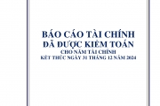BÁO CÁO TÀI CHÍNH ĐÃ ĐƯỢC KIỂM TOÁN CHO NĂM TÀI CHÍNH KẾT THÚC NGÀY 31 THÁNG 12 NĂM 2024