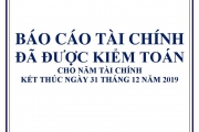 BÁO CÁO TÀI CHÍNH ĐÃ ĐƯỢC KIỂM TOÁN  NĂM 2019