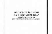 BAO CAO TAI CHINH SAU KIEM TOAN NAM 2020