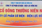 ĐẠI HỘI ĐỒNG CỔ DÔNG NĂM 2025