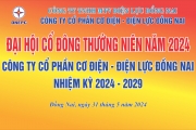 ĐAI HỘI ĐỒNG CỔ ĐÔNG THƯỜNG NIÊN NĂM 2024