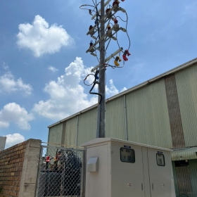 Đường dây 22KV và trạm biến áp 1x2.500 KVA công ty Royal House